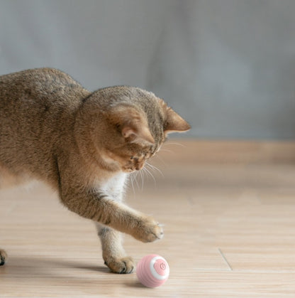 Automatic Moving Bouncing Rolling Ball Smart Cat Toy Ball Self-Moving